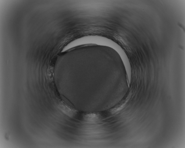 X0000091190237200709061020