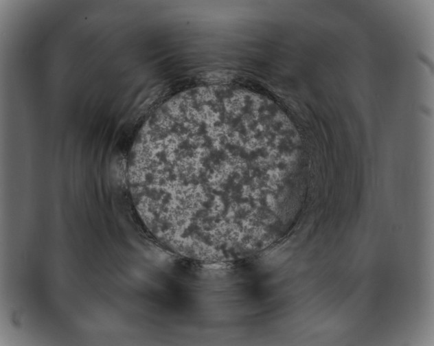 X0000091190240200709061020