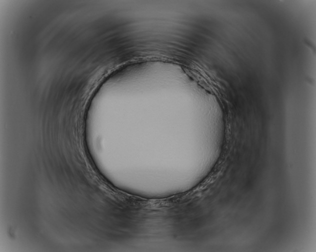 X0000091190241200709061019