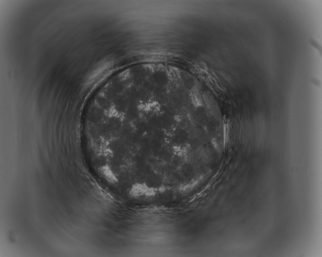 X0000091190243200709061019