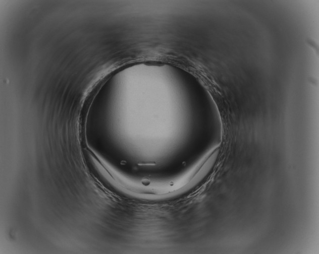 X0000091190244200709061019