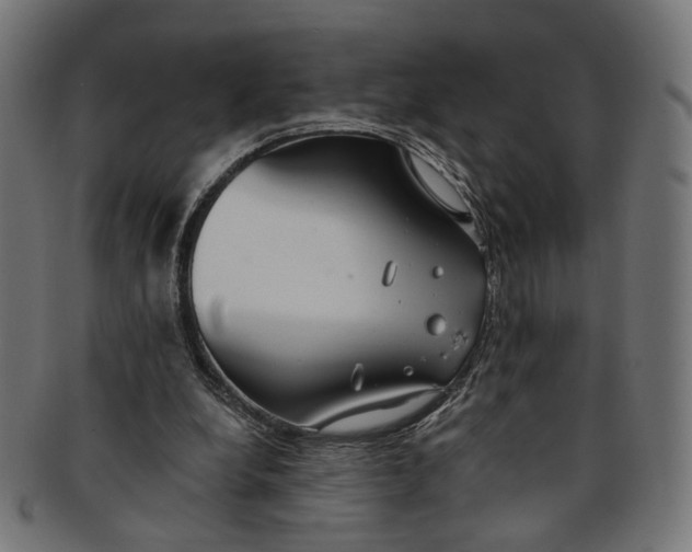 X0000091190248200709061019