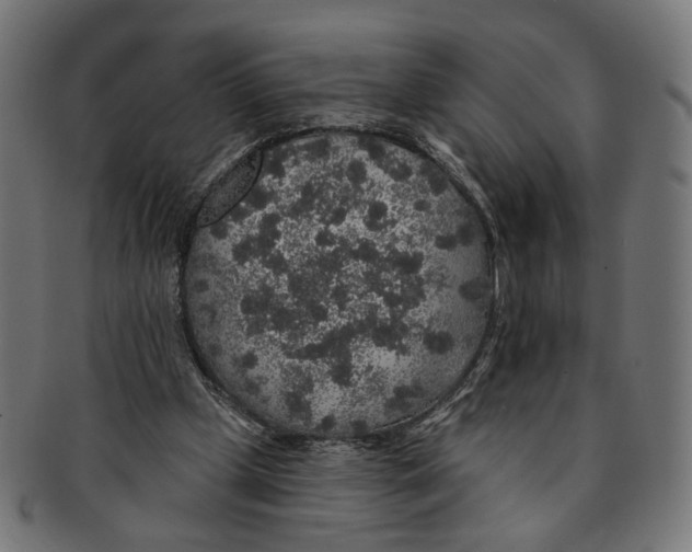 X0000091190249200709061019