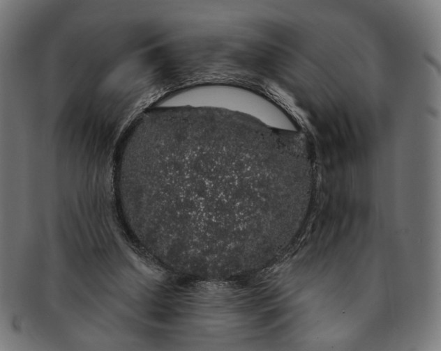 X0000091190250200709061019