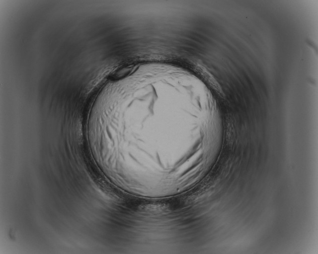 X0000091190251200709061019