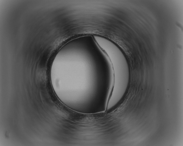 X0000091190252200709061019