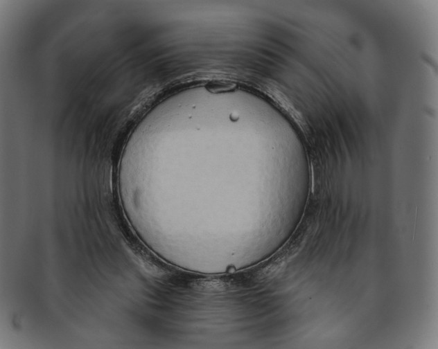 X0000091190253200709061019