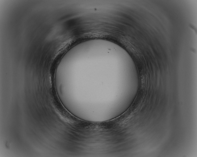 X0000091190254200709061019