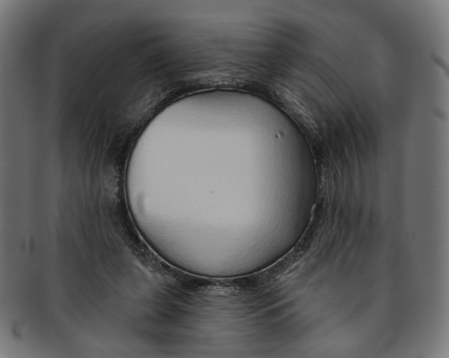 X0000091190255200709061019