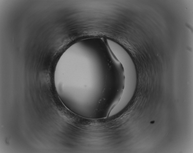 X0000091190256200709061019