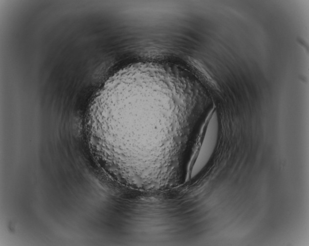 X0000091190259200709061019