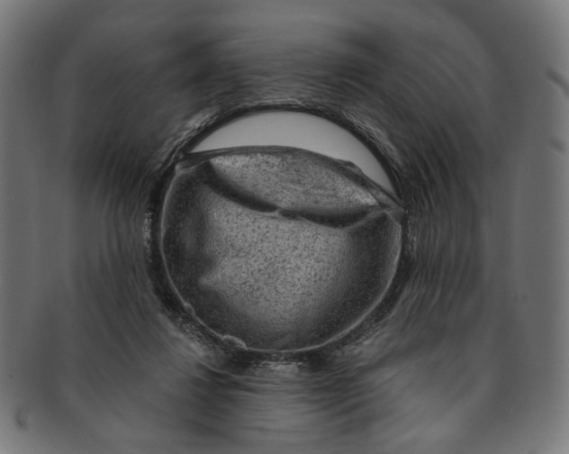 X0000091190260200709061019