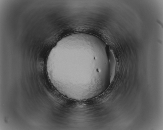 X0000091190263200709061019