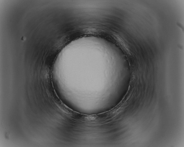 X0000091190265200709061020