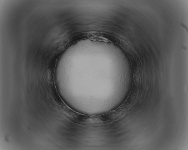 X0000091190270200709061020