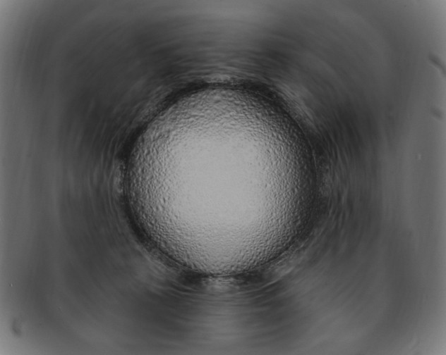 X0000091190273200709061020