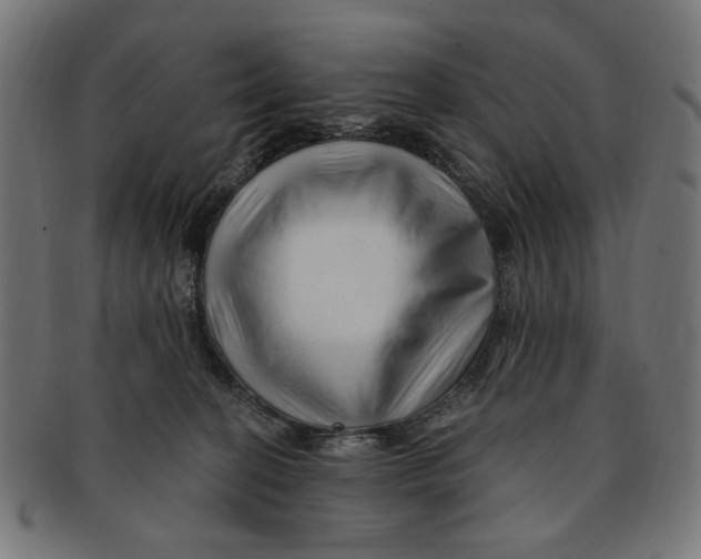 X0000091190274200709061020