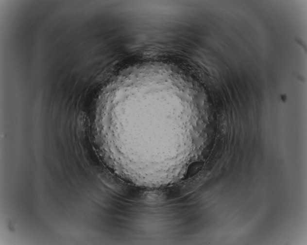 X0000091190275200709061020