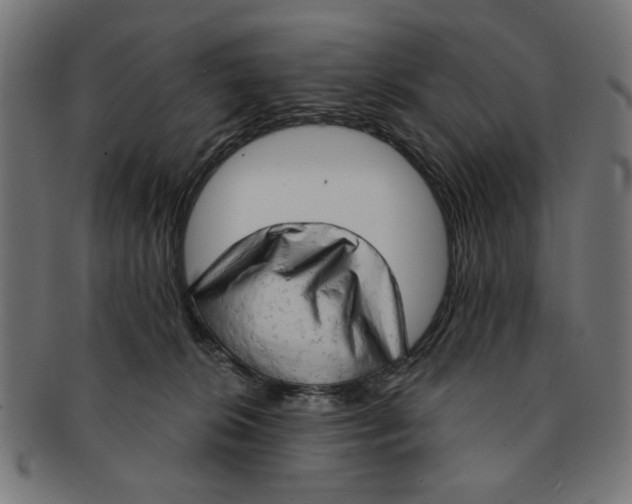 X0000091190276200709061020