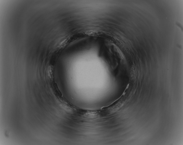 X0000091190280200709061020