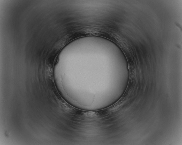 X0000091190281200709061020