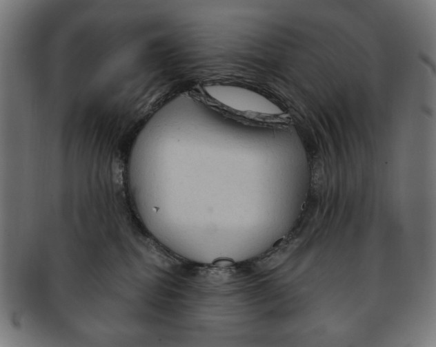 X0000091190282200709061020