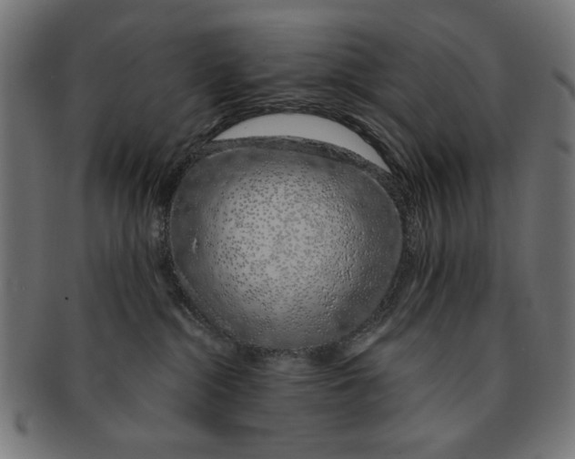 X0000091190284200709061020