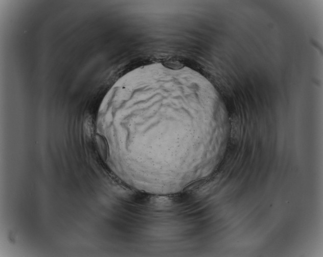 X0000091190287200709061020