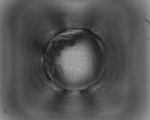 X0000091190288200709061020