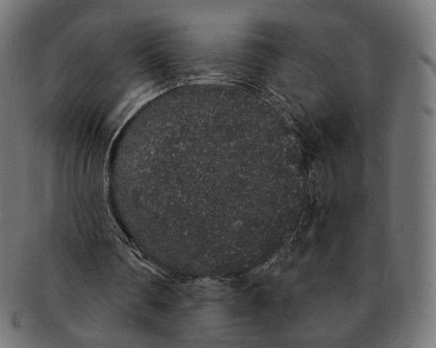 X0000091190290200709061019