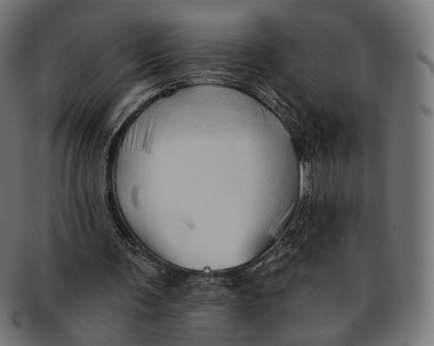 X0000091190291200709061019