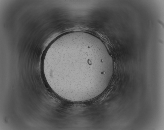 X0000091190292200709061019