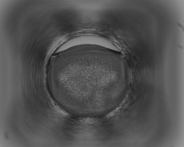 X0000091190293200709061019