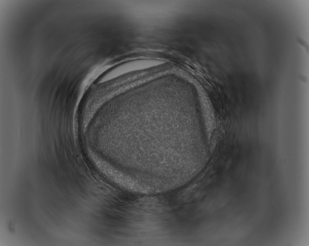 X0000091190294200709061019