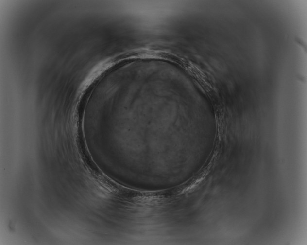 X0000091190295200709061019