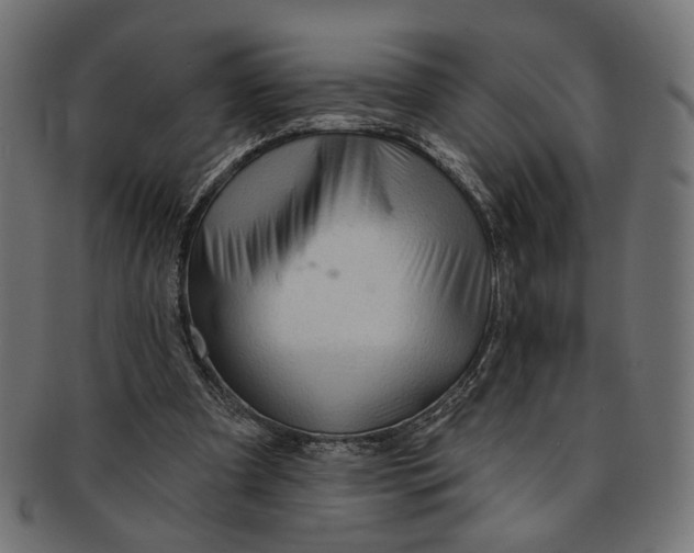 X0000091190297200709061019