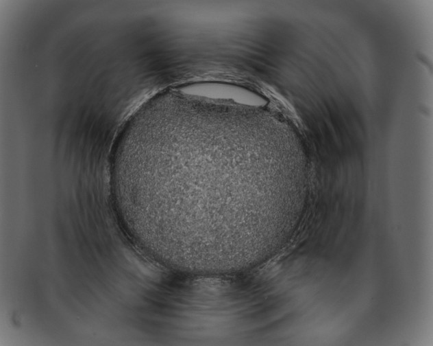 X0000091190298200709061019