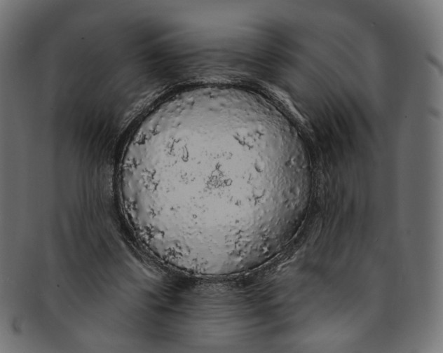 X0000091190299200709061019