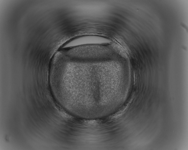 X0000091190301200709061019