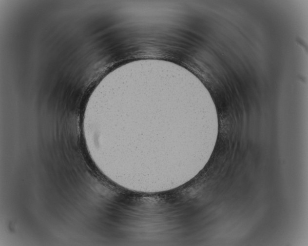 X0000091190302200709061019