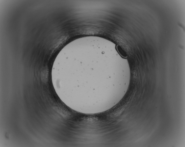 X0000091190304200709061019