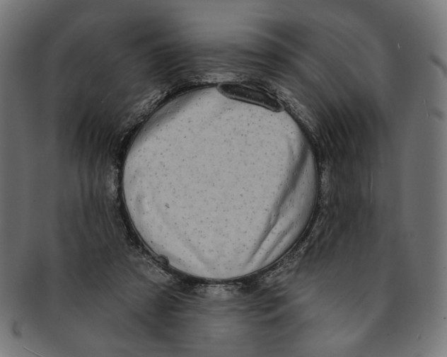 X0000091190305200709061019