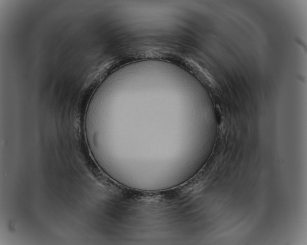 X0000091190306200709061019