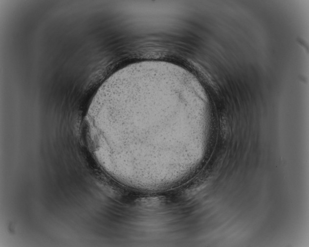 X0000091190307200709061019