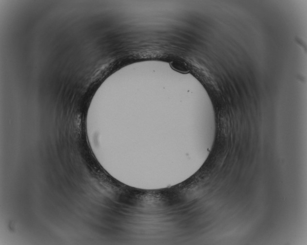 X0000091190308200709061019