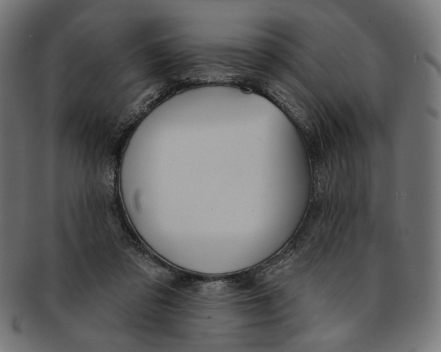 X0000091190309200709061019