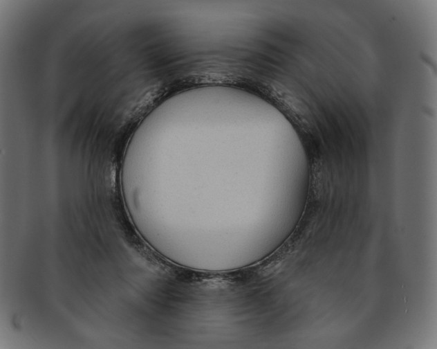 X0000091190310200709061019