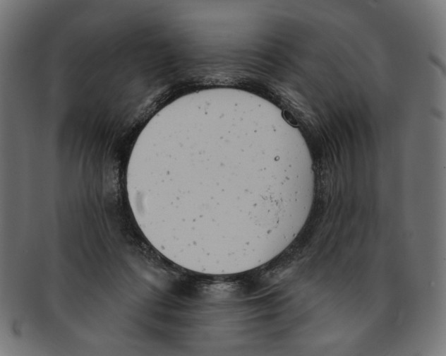 X0000091190312200709061019