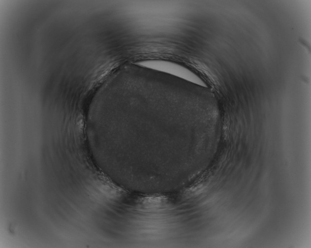 X0000091190314200709061019