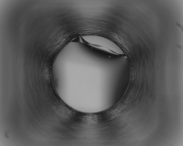 X0000091190317200709061019